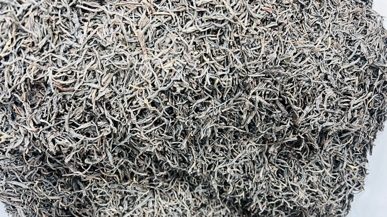 چای شکسته ساتور متوسط دم قیمت یک کیلو