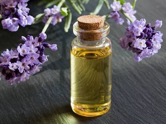 روغن اسطخودوس