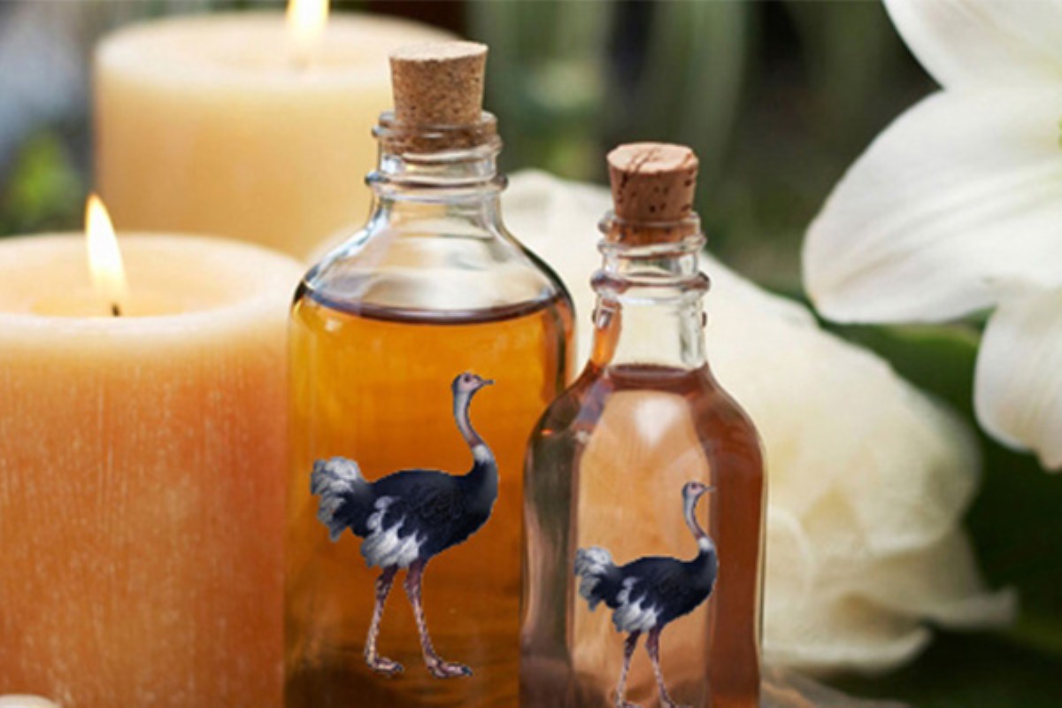 روغن شترمرغ