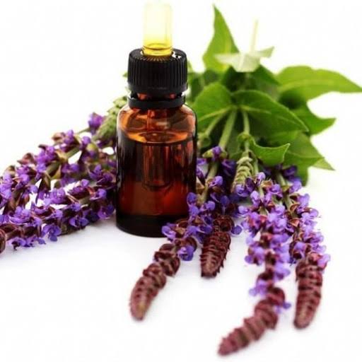 روغن مریم گلی