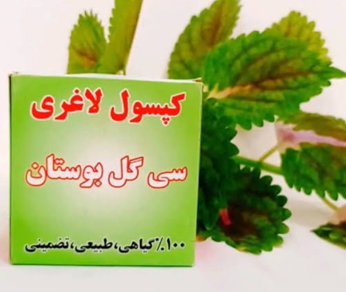 کپسول لاغری سی گل بوستان