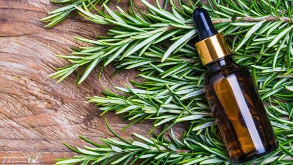 روغن رزماری