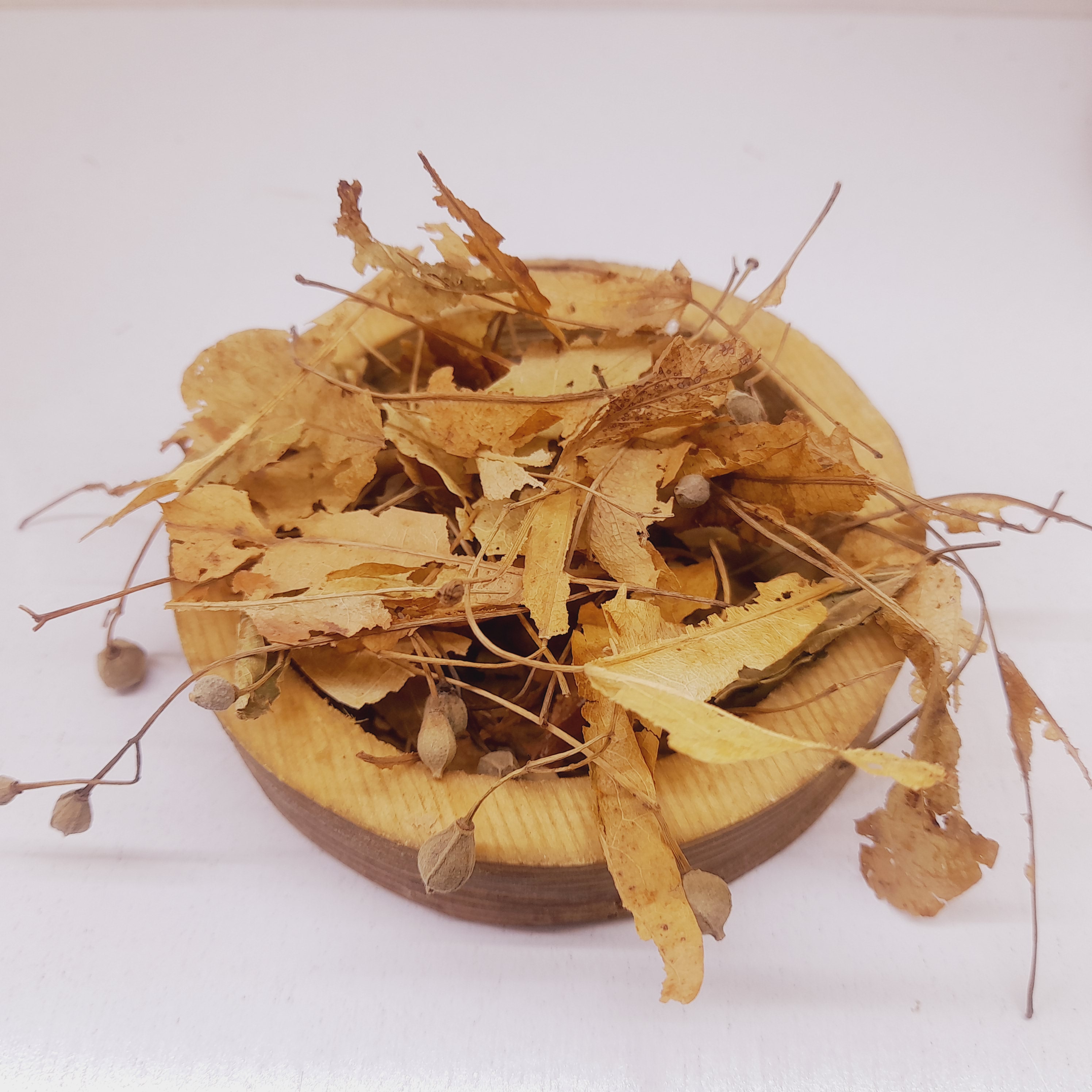 برگ زیتون زیفون