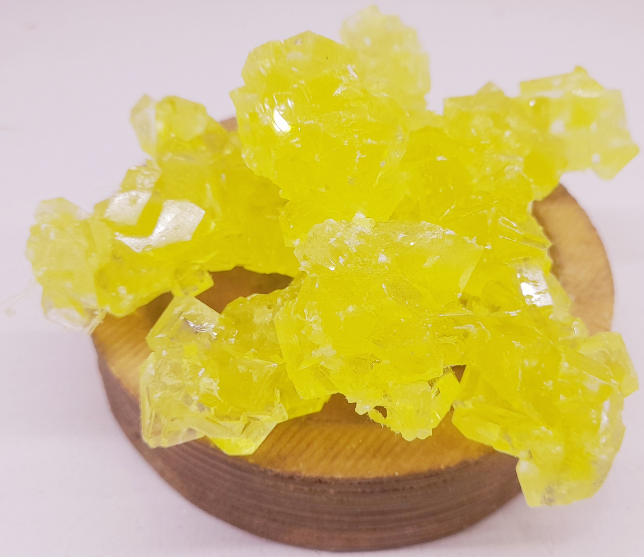 نبات شاخه ای زرد