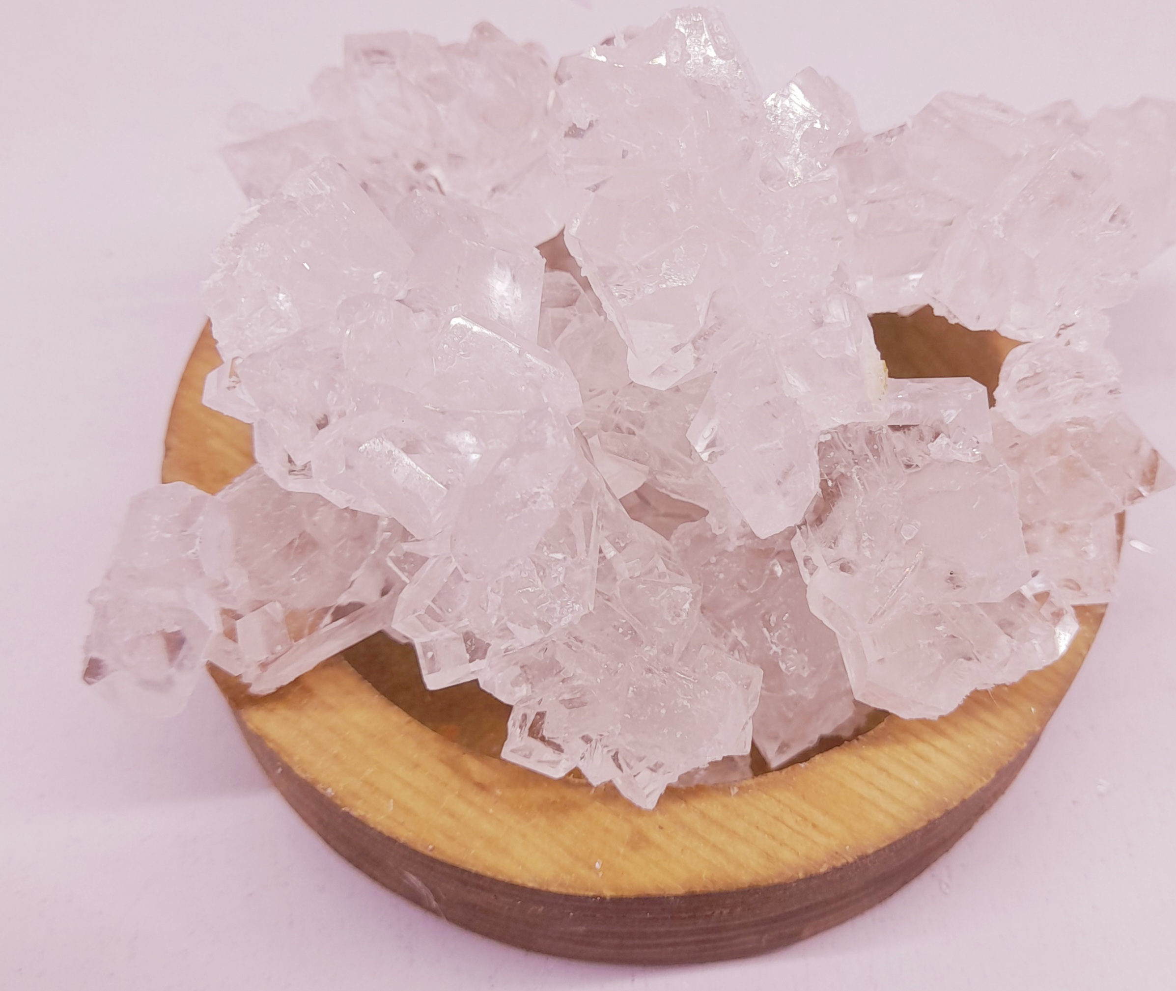 نبات شاخه‌ای سفید