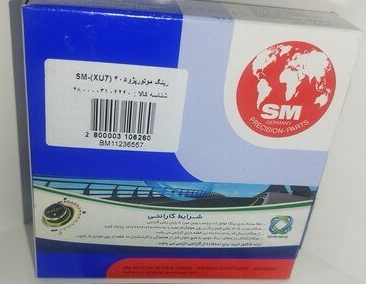 رینگ موتور پژو 405 پارس سمند SM المانی اصلی