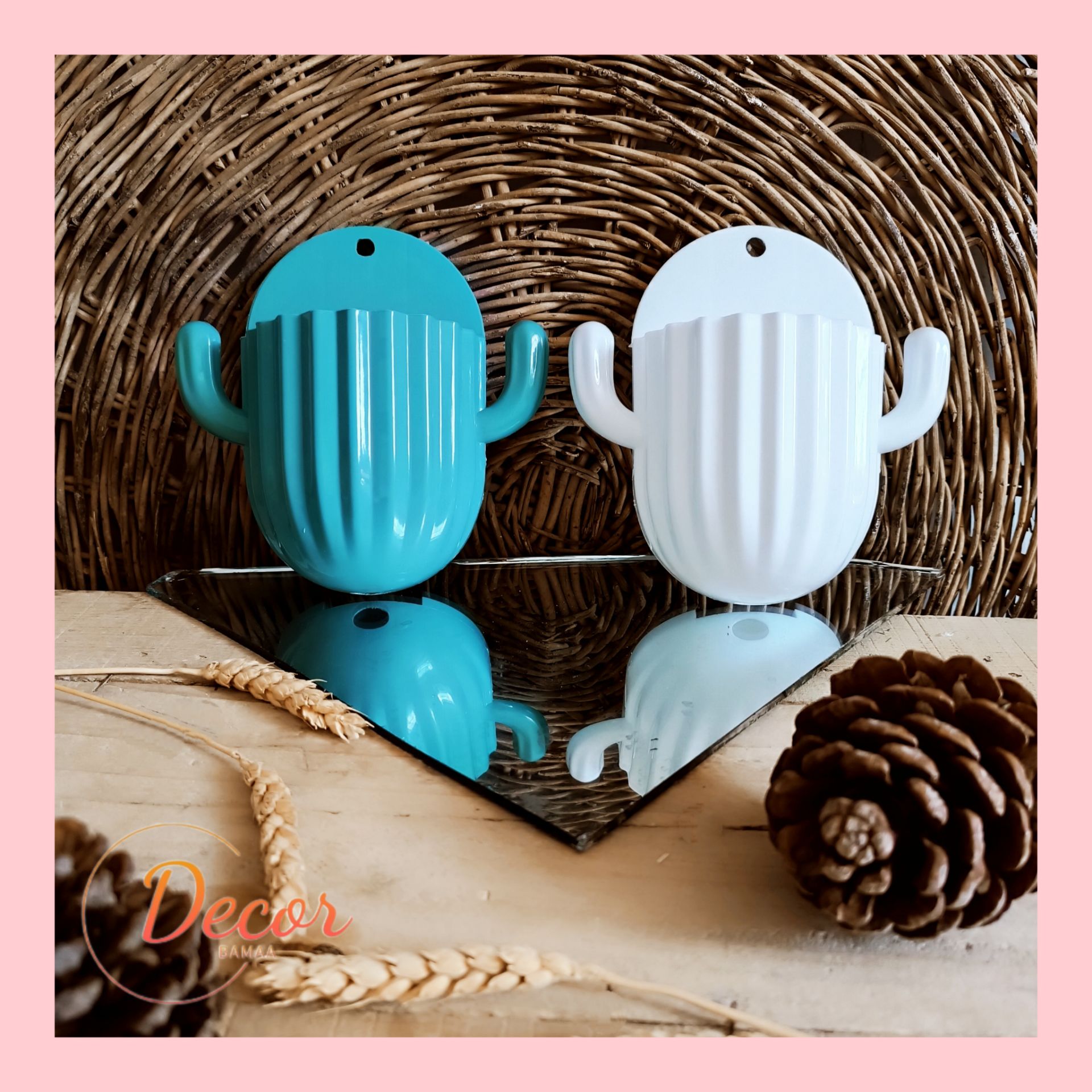 جا مسواکی کاکتوس