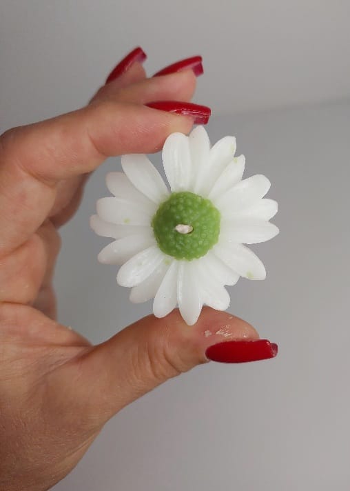 شمع گل مارگاریت شناور