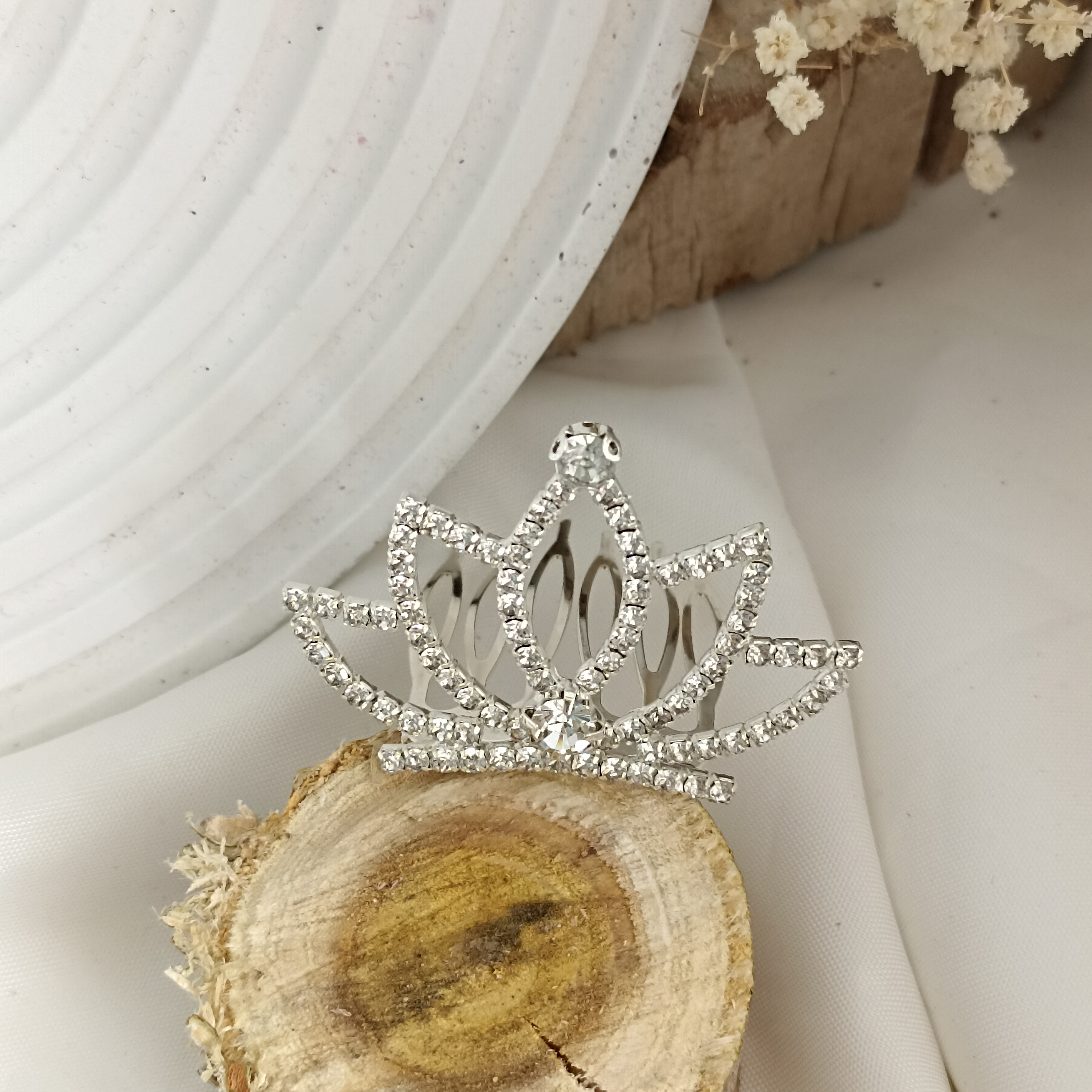 نیم تاج پرنسسی