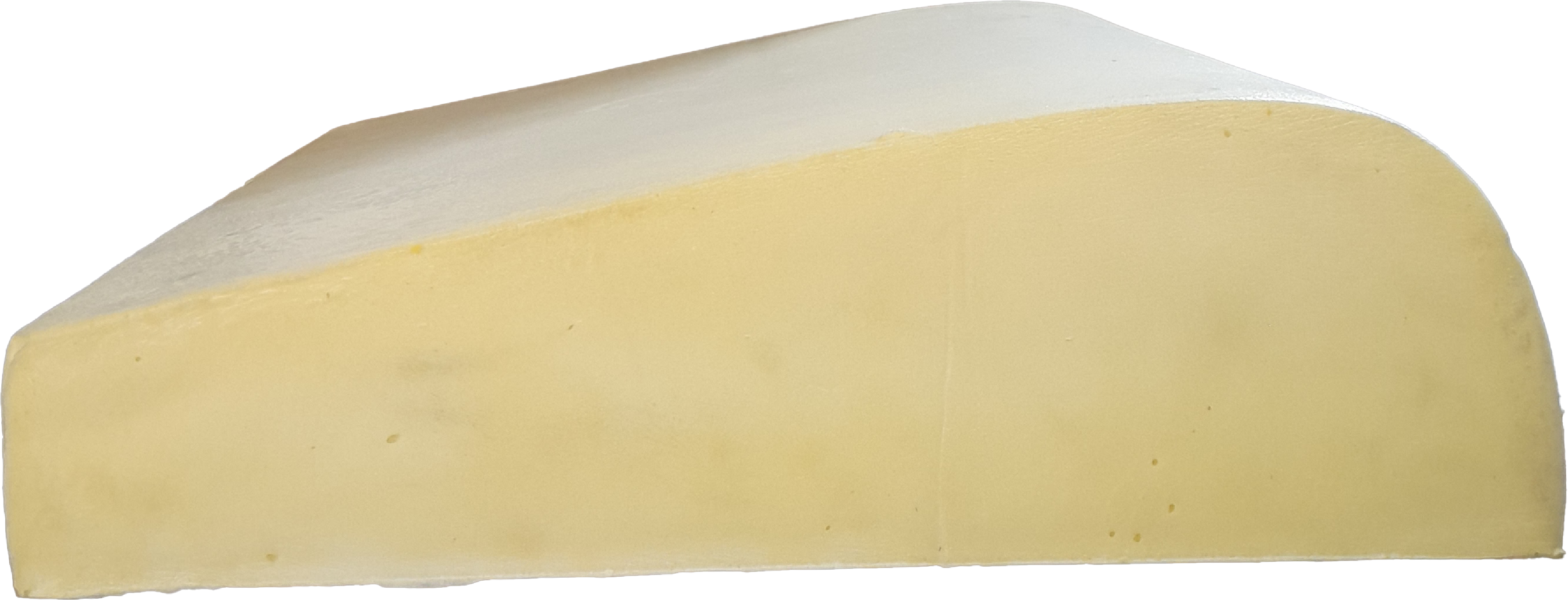 فوم سرد لهستانی رایان