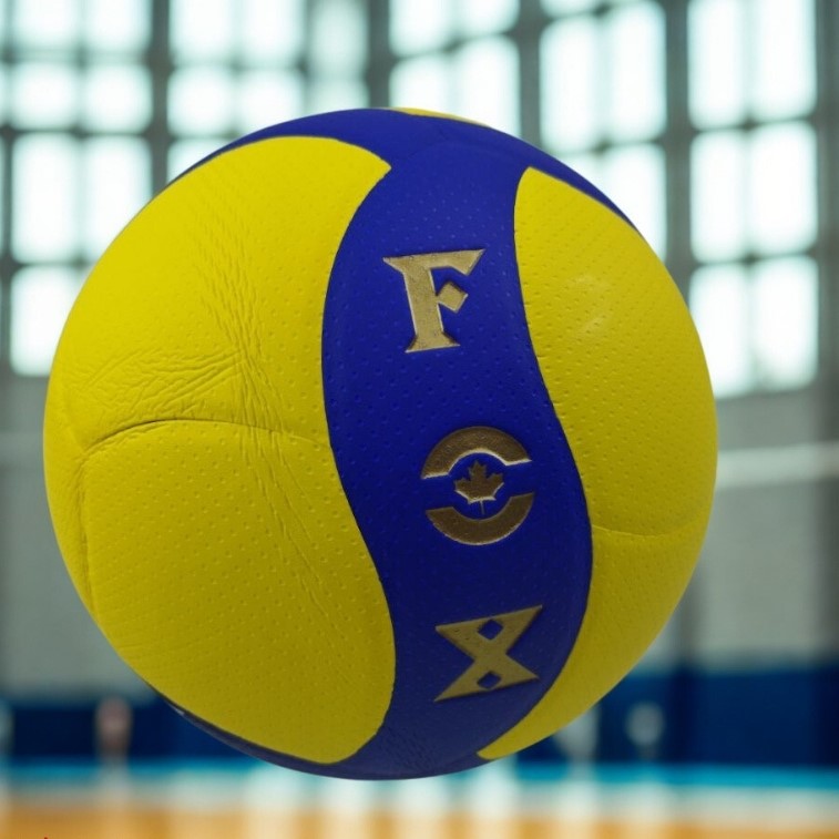 توپ والیبال فاکس FOX اورجینال