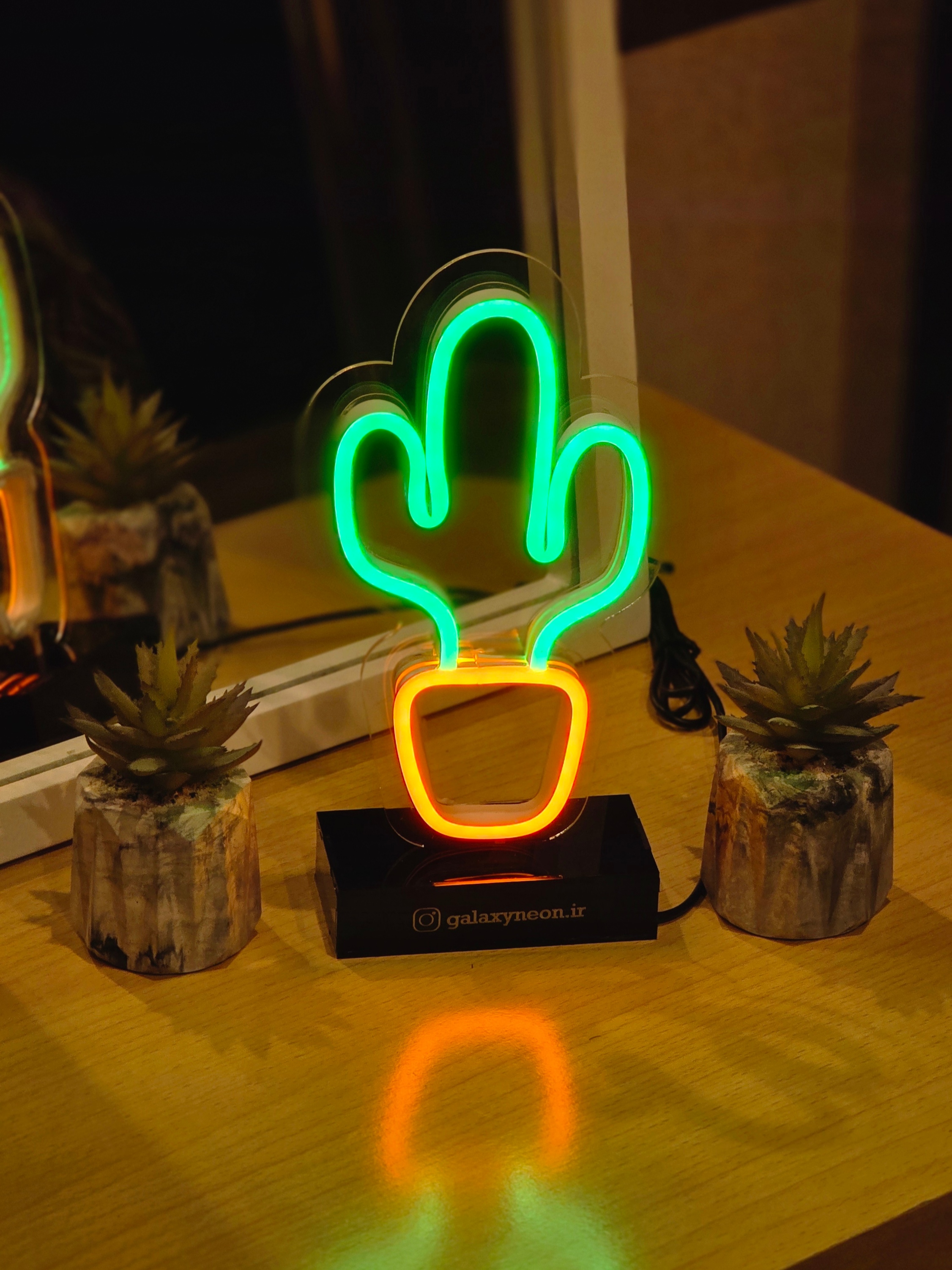 استند رو میزی کاکتوس