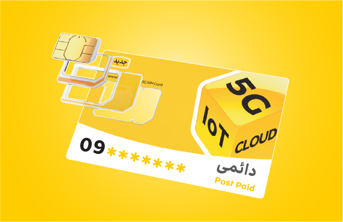 سیم کارت دائمی، دسته معمولی