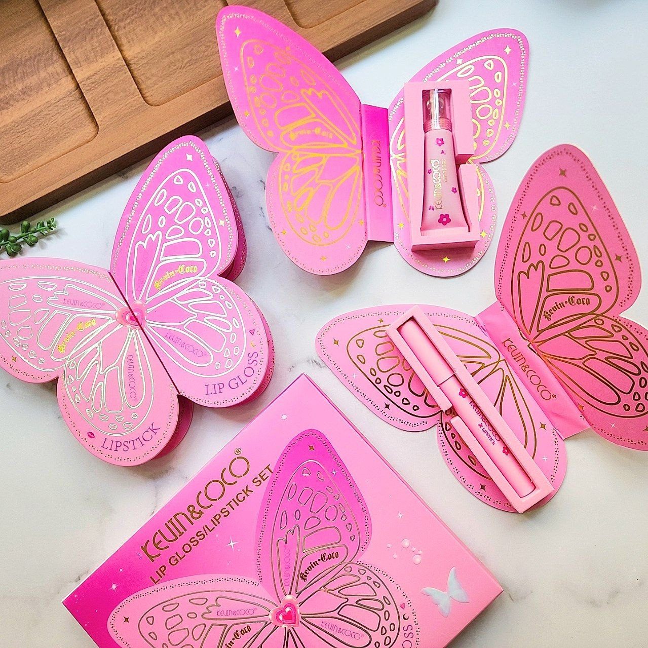 ست پروانه ای لیپ پلامپر و رژ