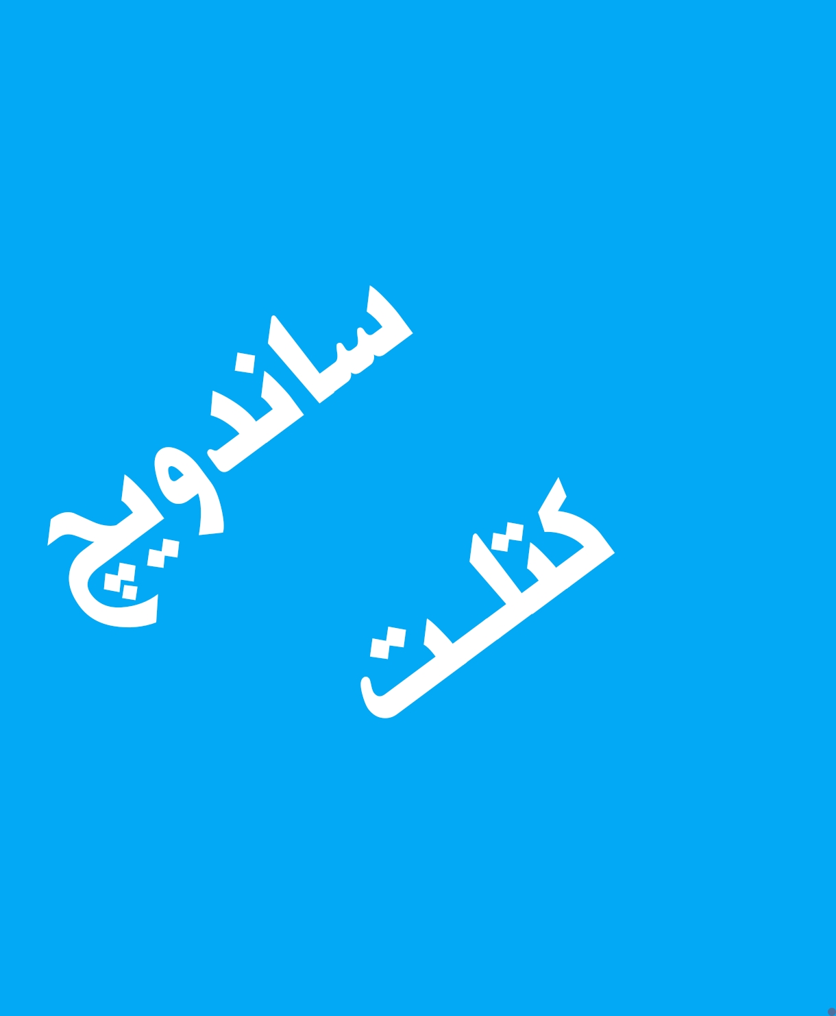 ساندویچ کتلت معمولی