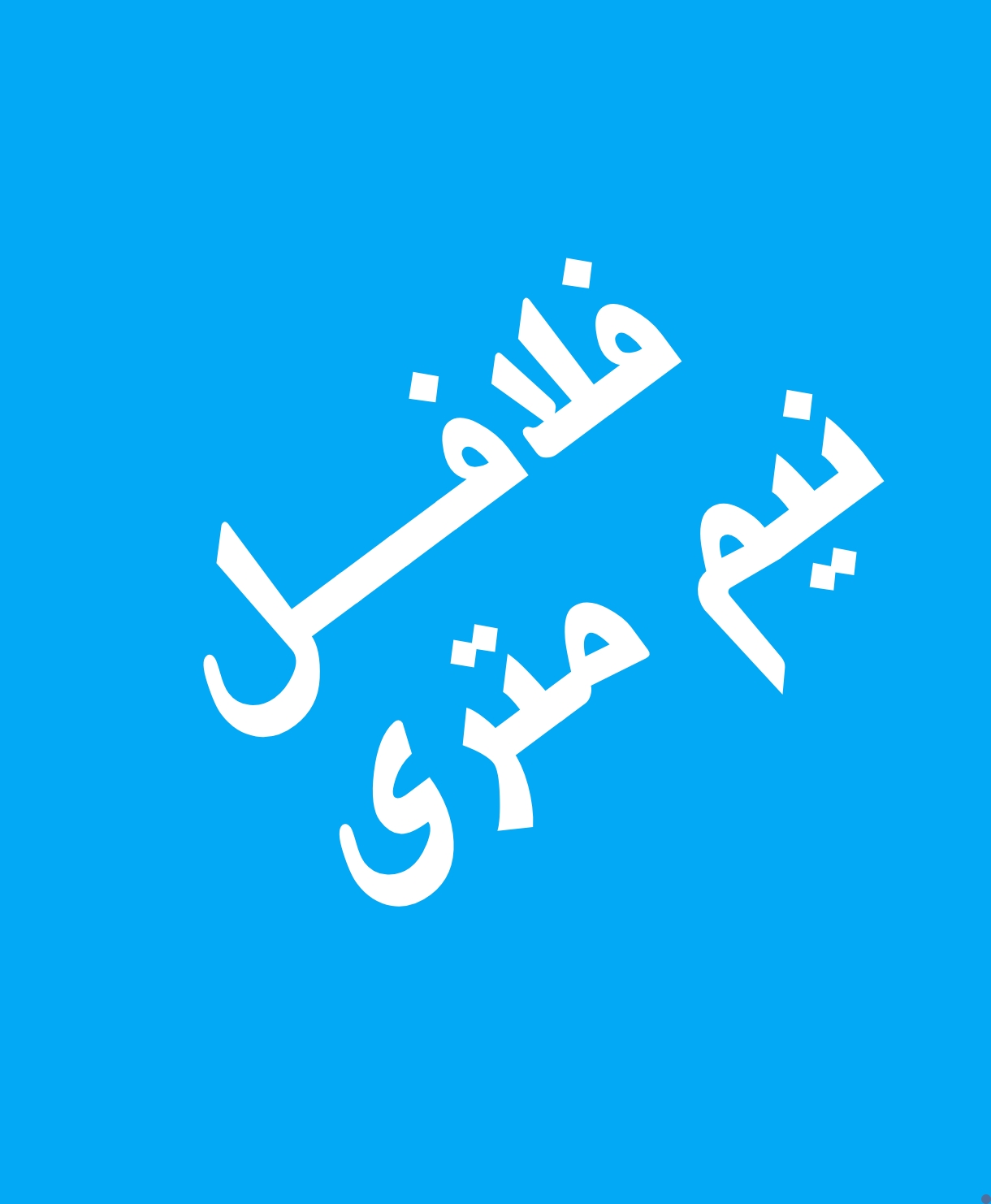 ساندویچ فلافل نیم متری