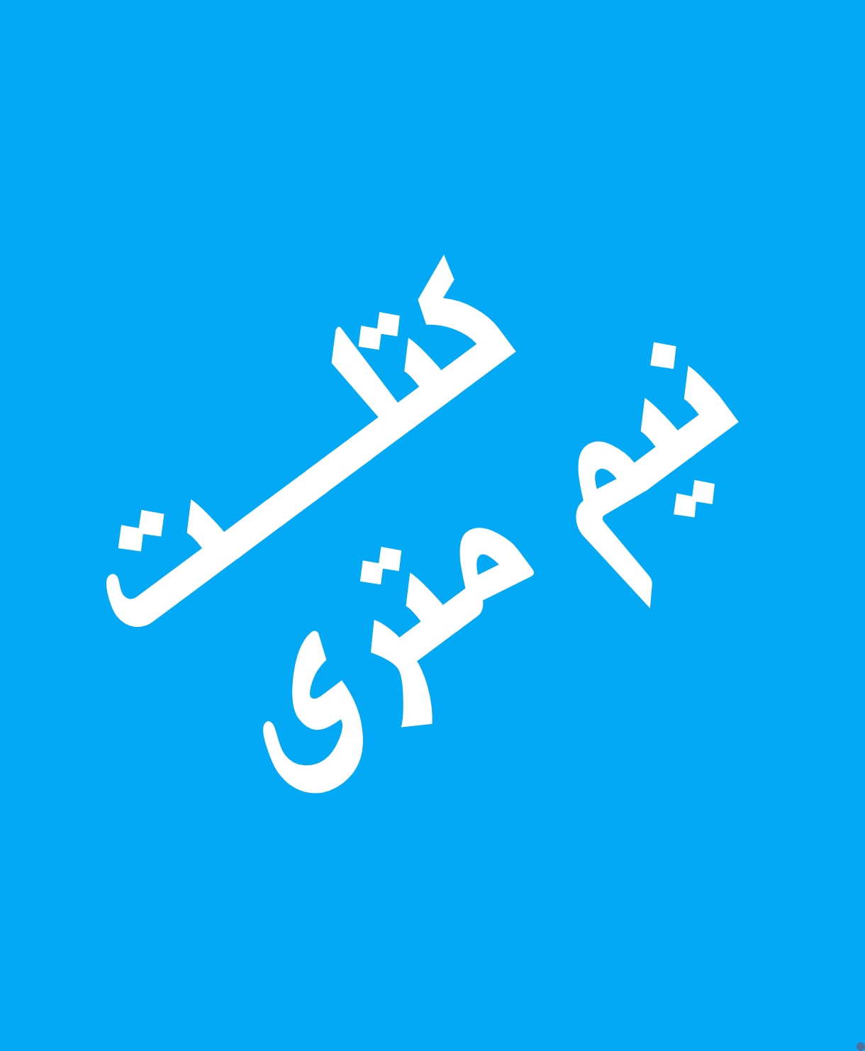 ساندویچ کتلت نیم متری