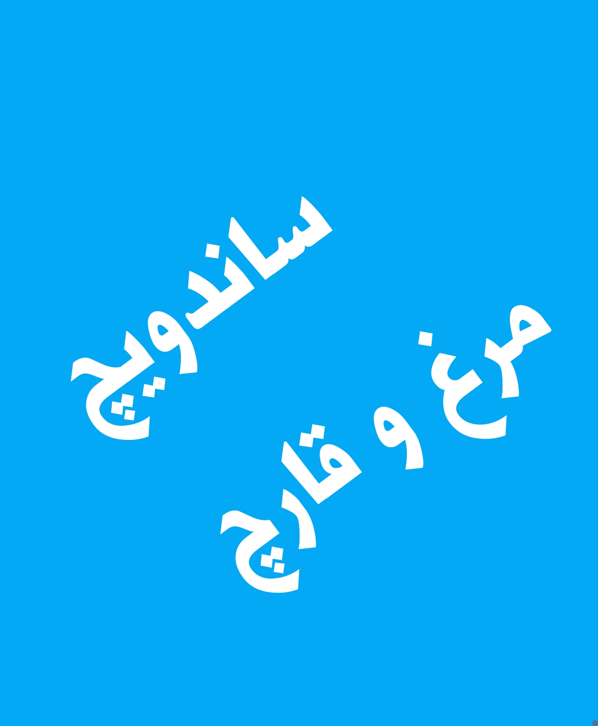 ساندویچ مرغ و قارچ