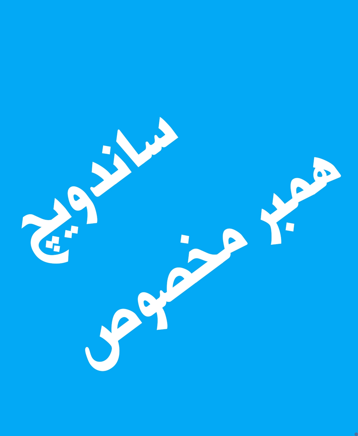 ساندویچ همبر مخصوص