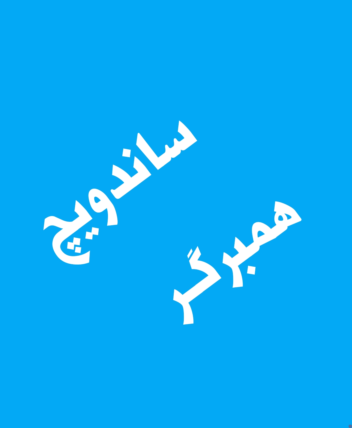ساندویچ همبر معمولی