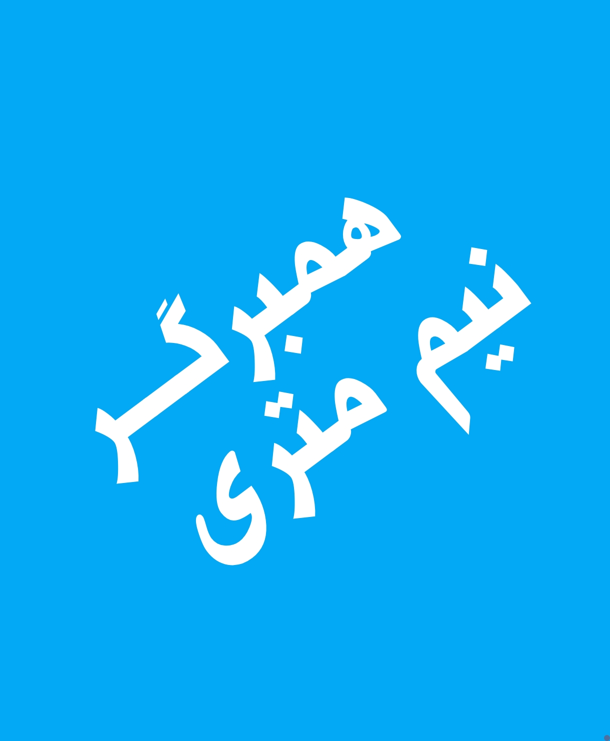 ساندویچ همبر نیم متری