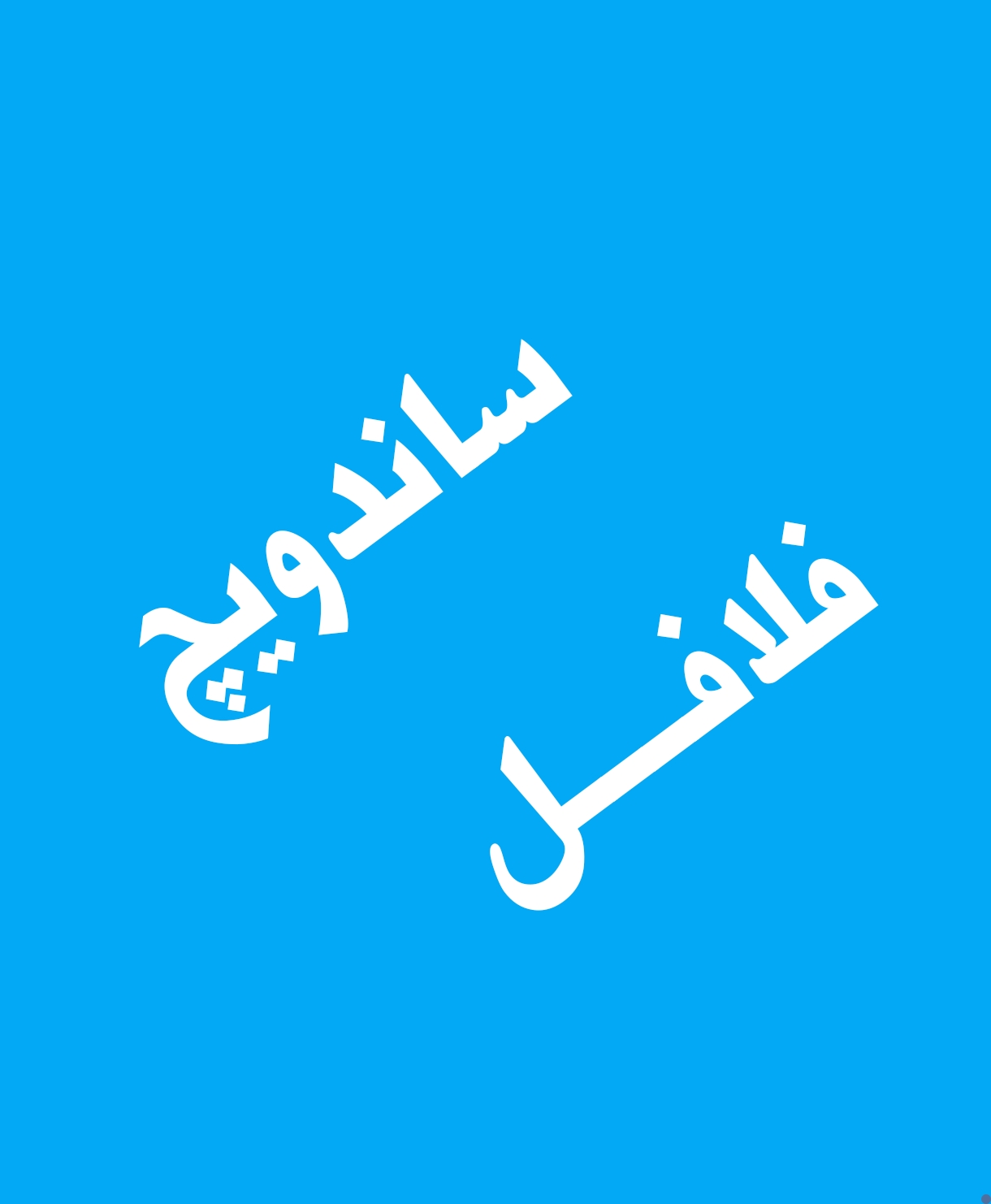 ساندویچ فلافل