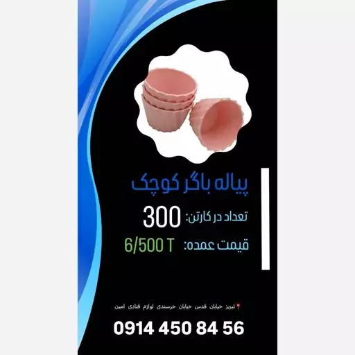 پیاله باگر کوچک رنگبندی کارتن 300 تایی