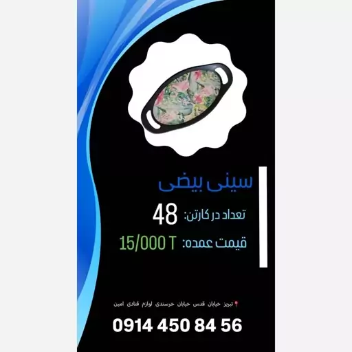 سینی بیضی کارتن 48 تایی