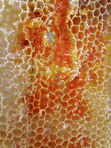 عسل طبیعی زعفران نیم کیلو، محصول سالم و خوشمزه مناوندکالا