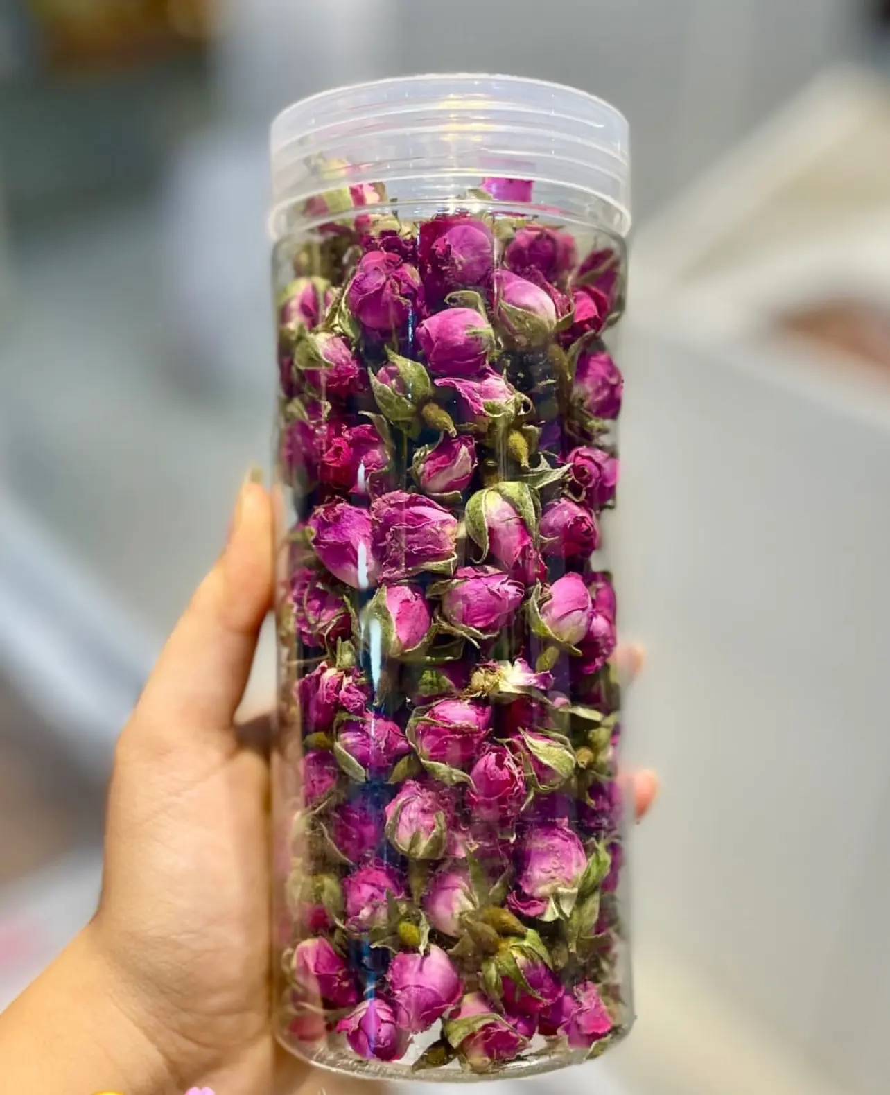 غنچه گل محمدی