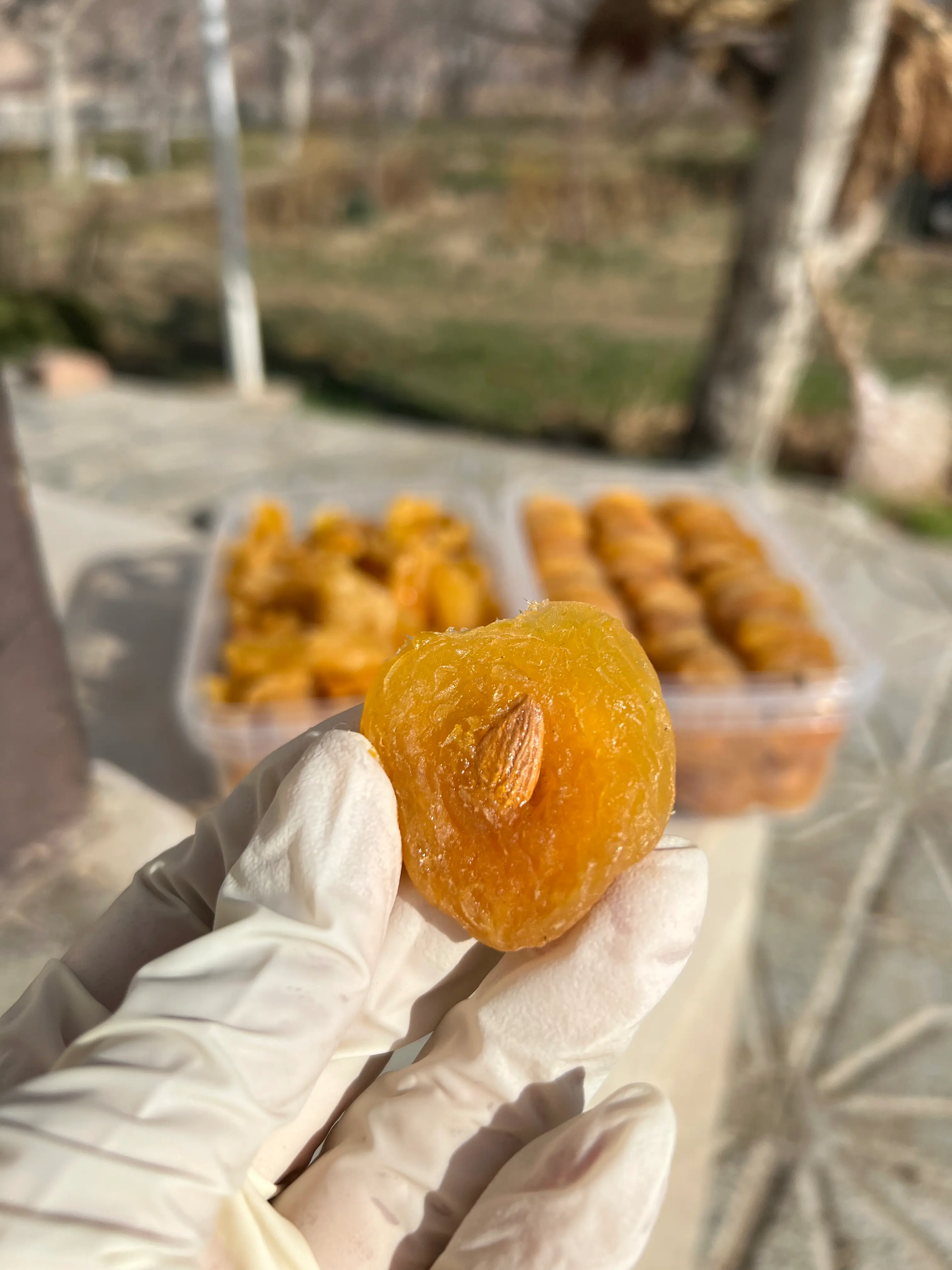 قیصی مغزدار