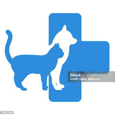 آیکون دسته * میو پت * meyou pet ( حفظ سلامت و درمان حیوانات خانگی)