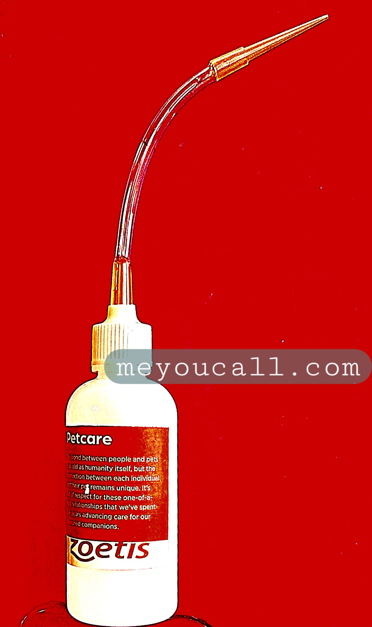 کیست مقعد سگ و گربه