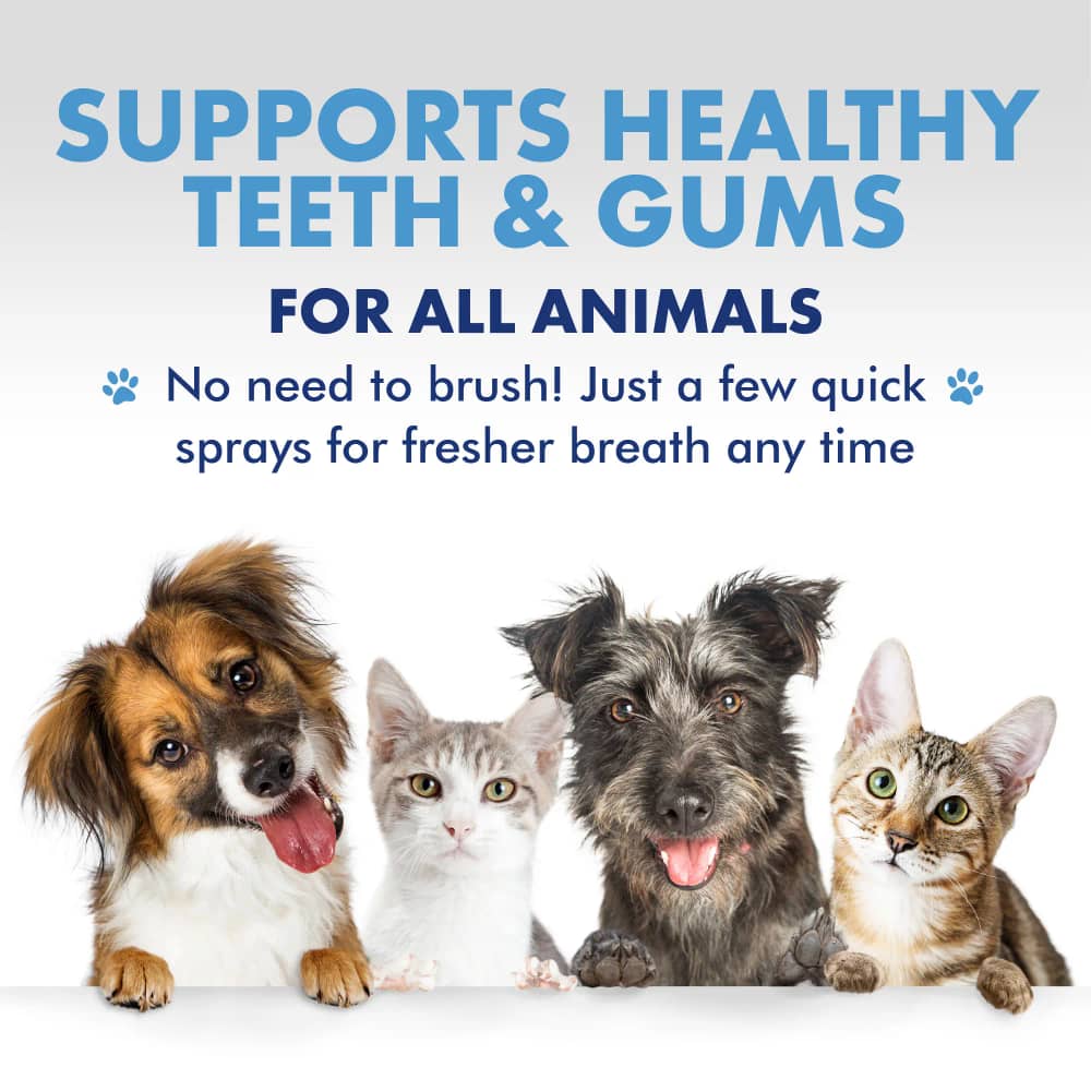 اسپری دندان و لثه حیوانات