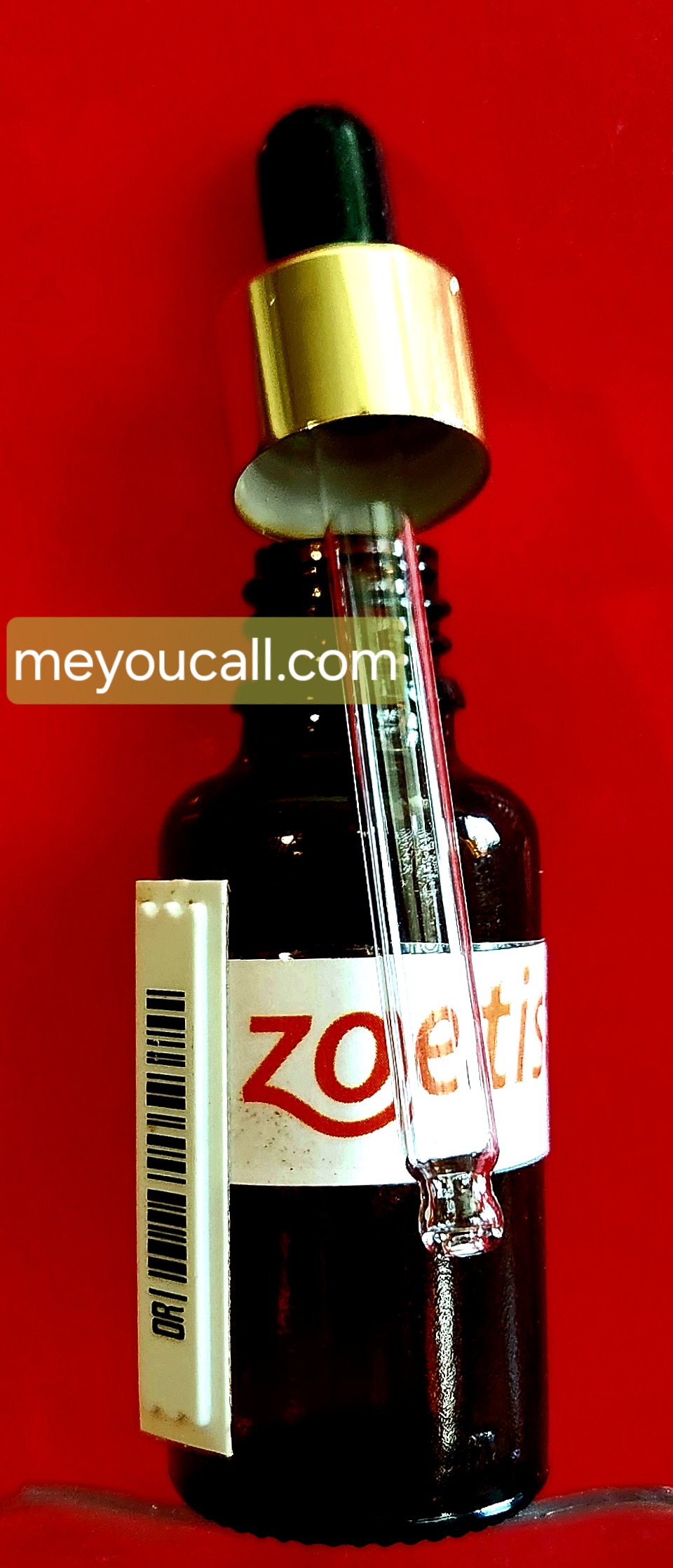 ضد افسردگی گربه