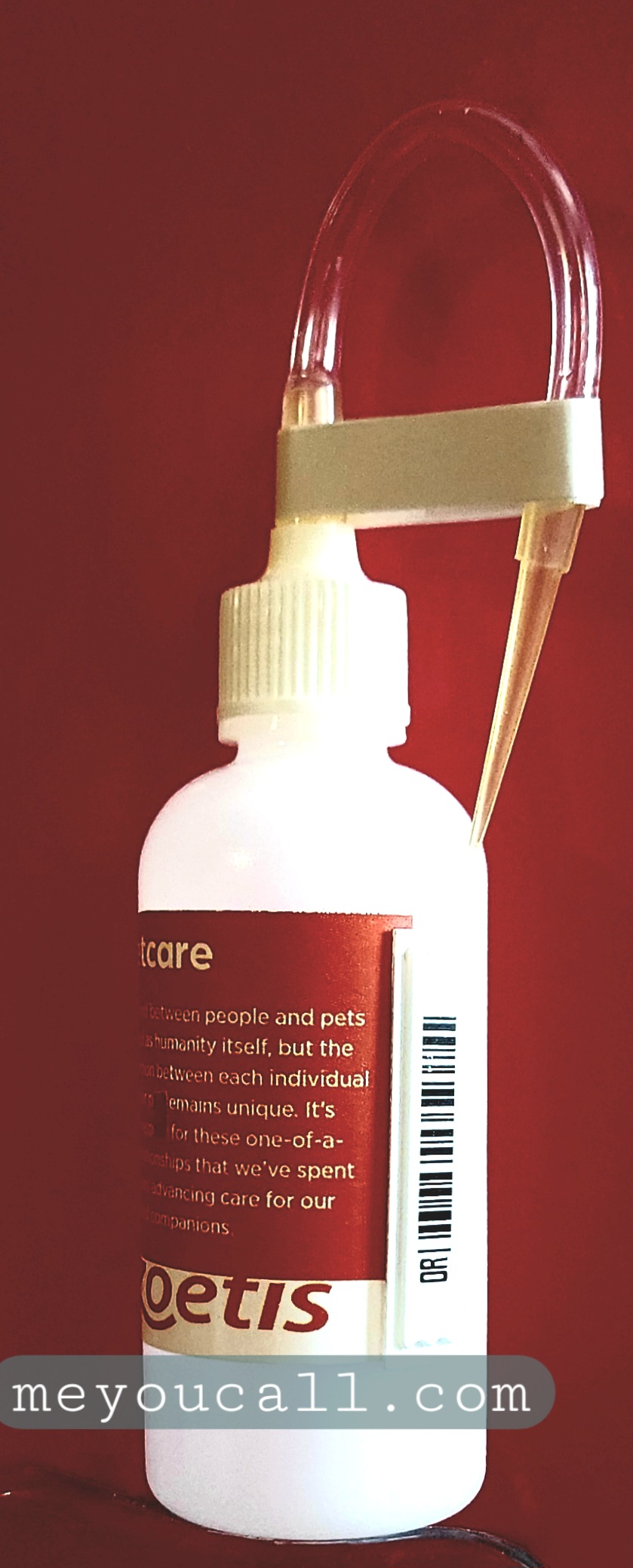 کیست مقعد سگ و گربه