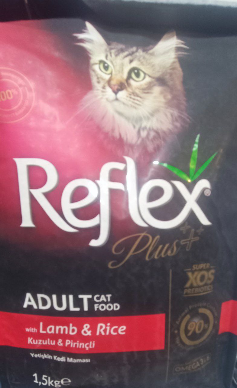 رفلکس پلاس گربه بالغ