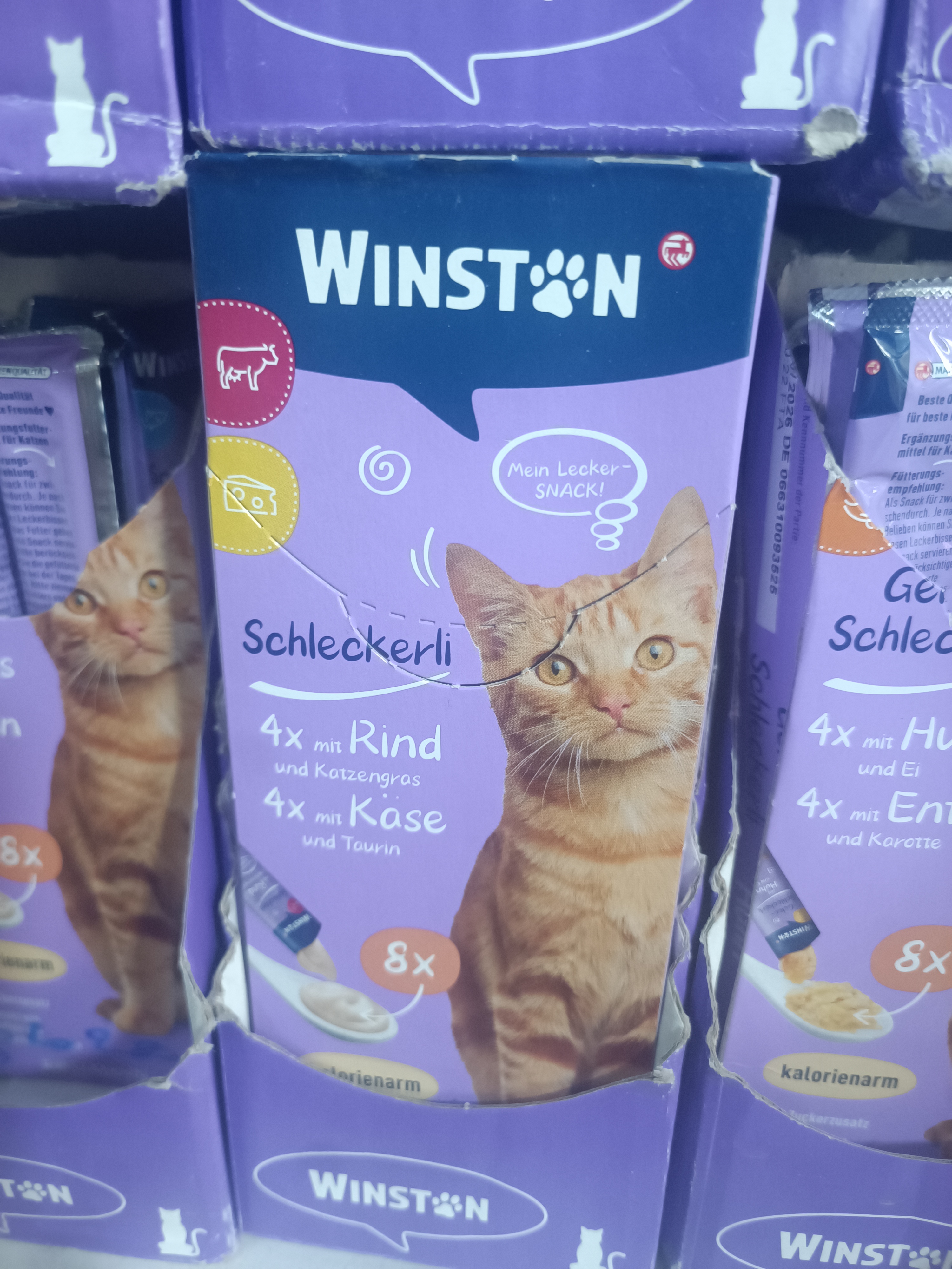 بستنی وینستون طعم پنیر و گوشت