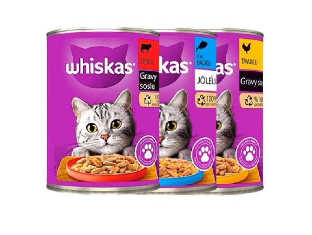 کنسرو ویسکاس