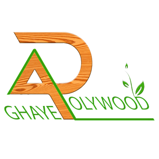 لوگو آقای پلی وود استور