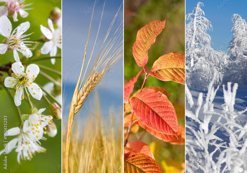 عطر مناسب فصل