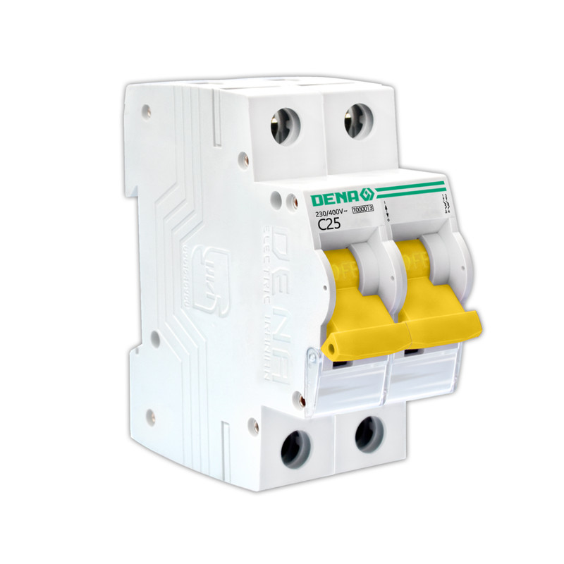 کلید مینیاتوری دوبل ۲۵Aدنا