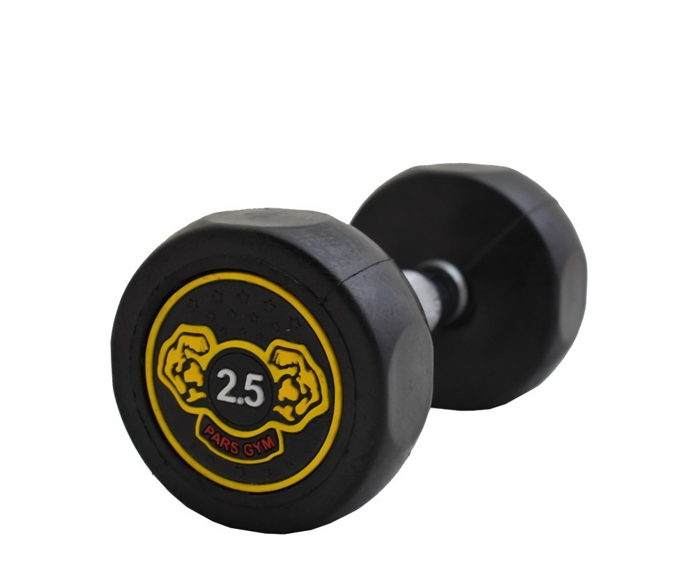 دمبل استپ دار 2/5 کیلویی
