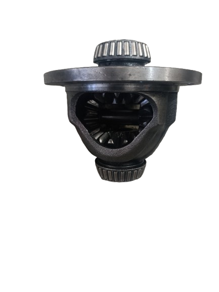 تودلی ، هوزینگ دیشلی ، هوزینگ دیشلی زانتیا ۲۰۰۰