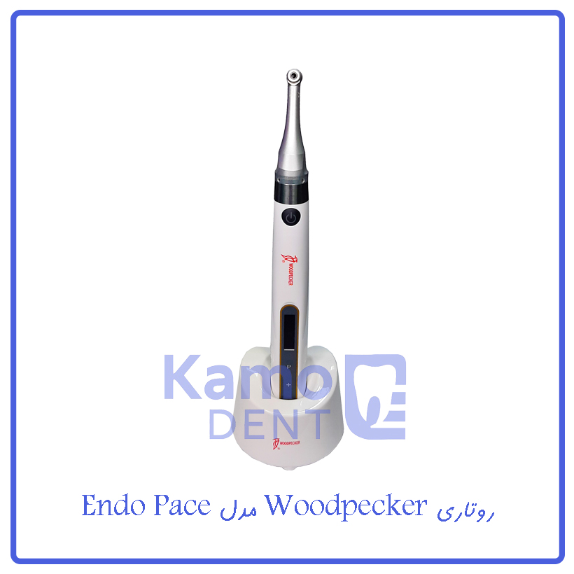 روتاری Woodpecker مدل اندوپیس Endo Pace