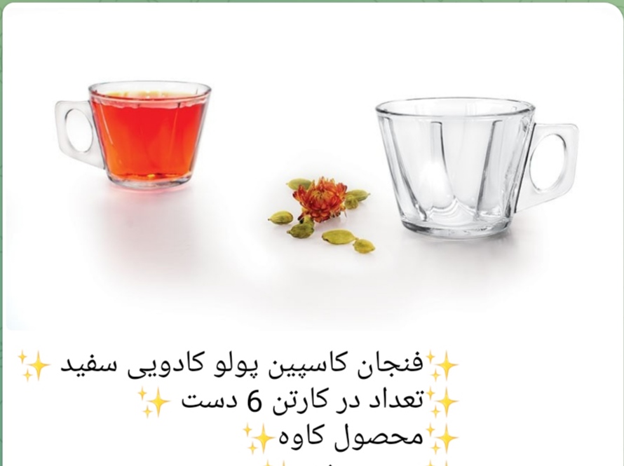 فنجان کاسپین پولو محصول کاوه