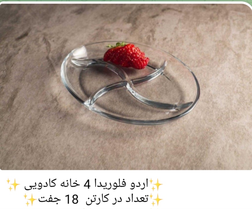 اردو خوری فلوریدا 4 خانه محصول بلور کاوه 🇮🇷