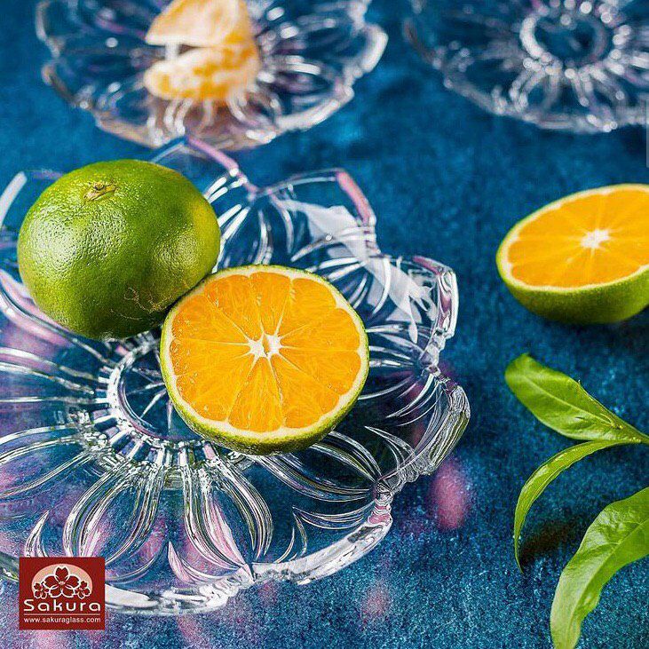 فنجان ویلا نوری تازه 🇮🇷