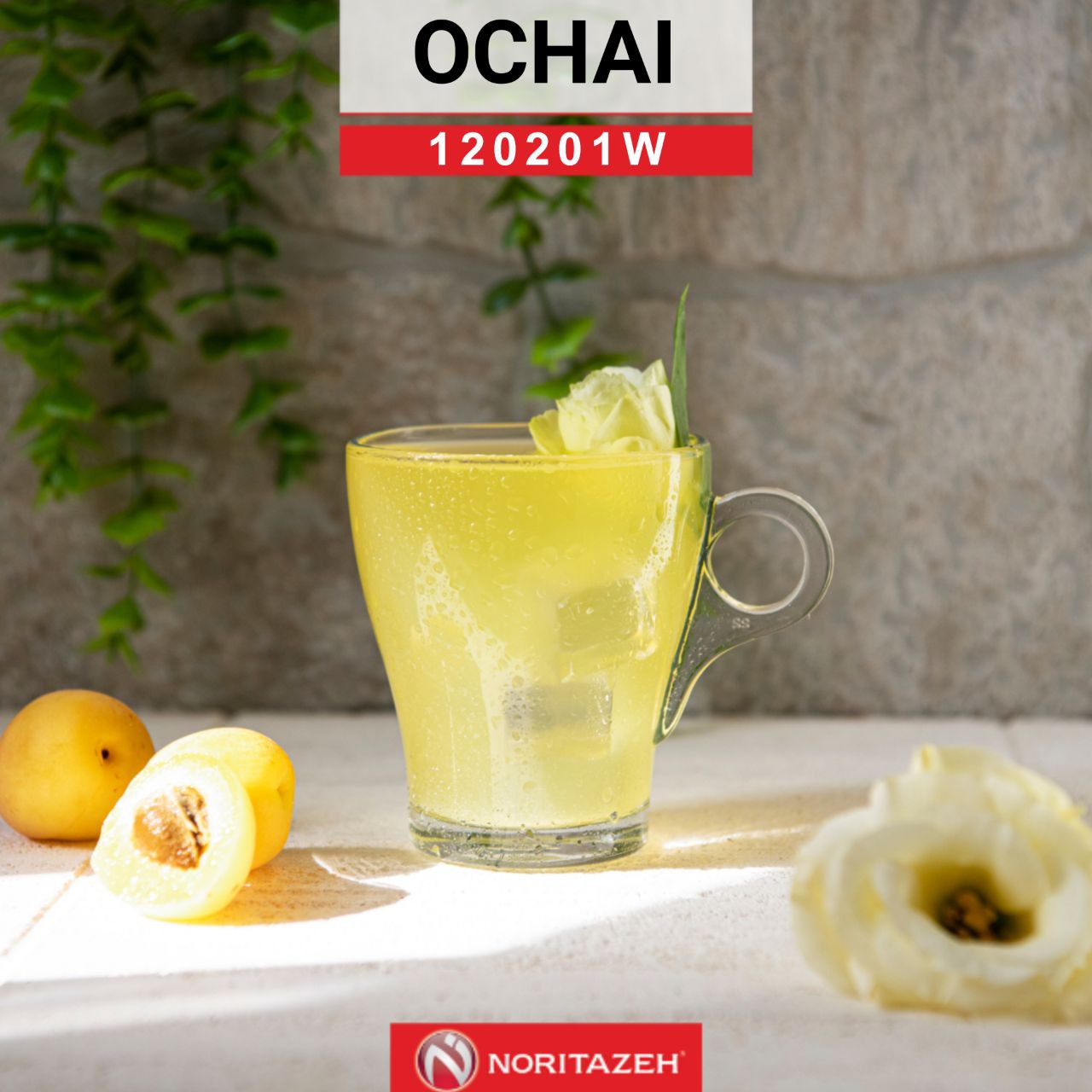 نیم لیوان اوچای نوری تازه 🇮🇷