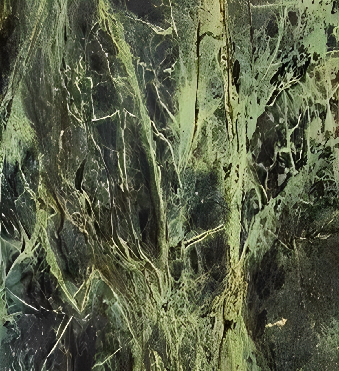 قیمت و خرید سنگ طبیعی یشم راف جید کلکسیونی